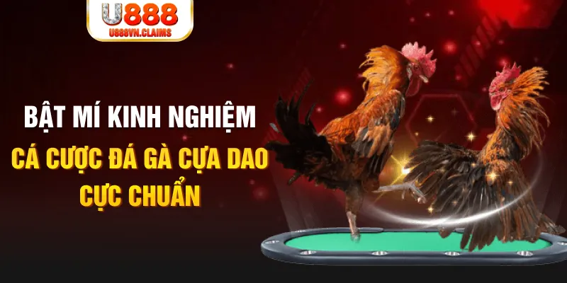 tg 88 xổ số miền nam xổ số miền nam