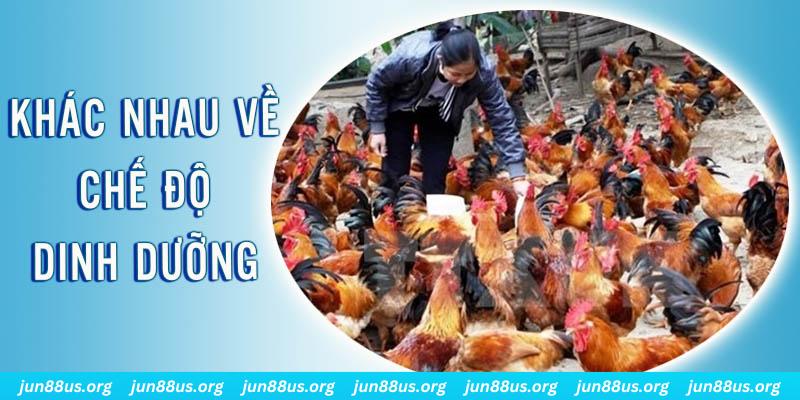 tg 88 xổ số miền nam thứ năm hàng tuần