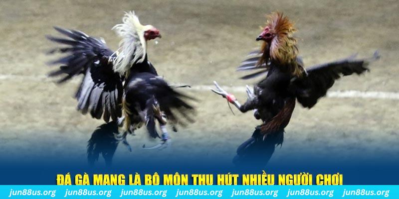 tg 88 tại sao tải game bài sunwin không được