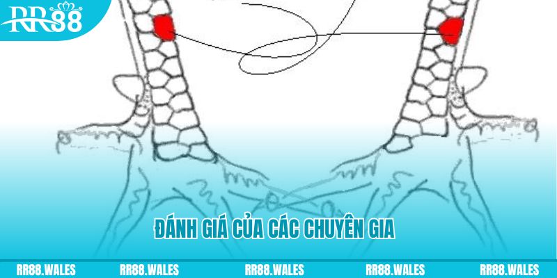 tg 88 V8 Game Bài 3d