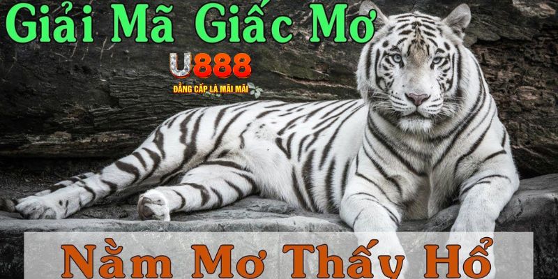 tg 88 qq88 nổ hũ bắn cá