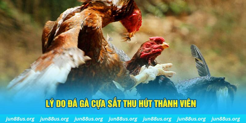 tg 88 chiếm slot là gì