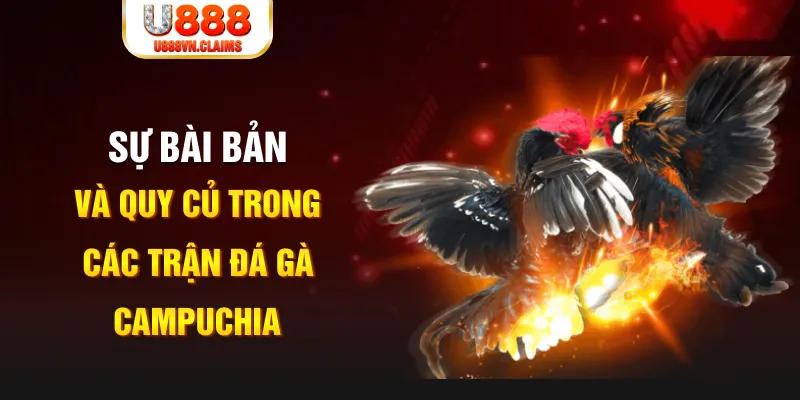 tg 88 PG Điện Tử