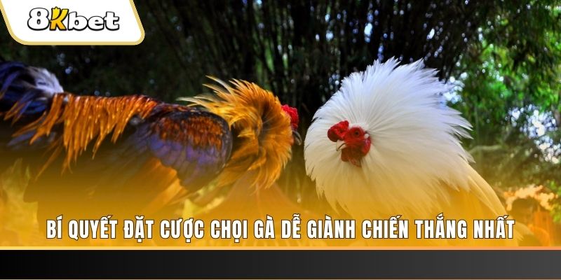 tg 88 xổ số thứ hai hàng tuần