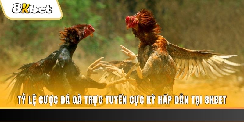 tg 88 baccarat online bịp như thế nào