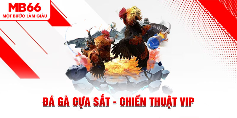 tg 88 xổ số trực tiếp hôm nay