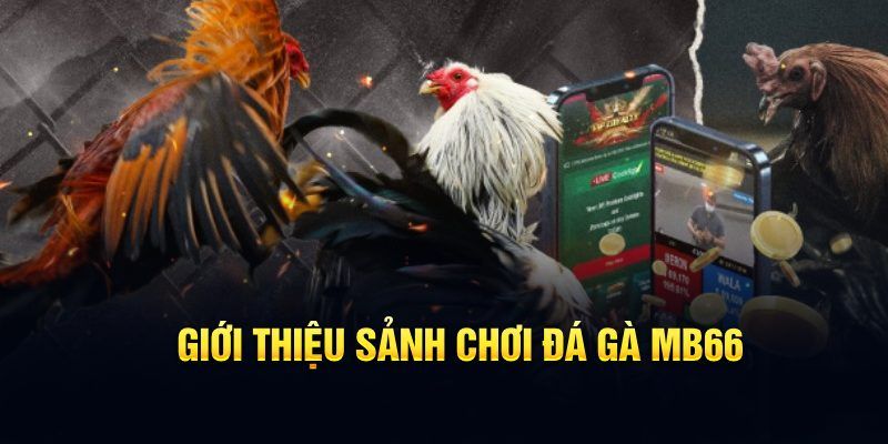tg 88 đăng nhập poker hôm nay
