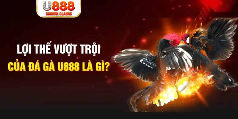 tg 88 168G Điện Tử